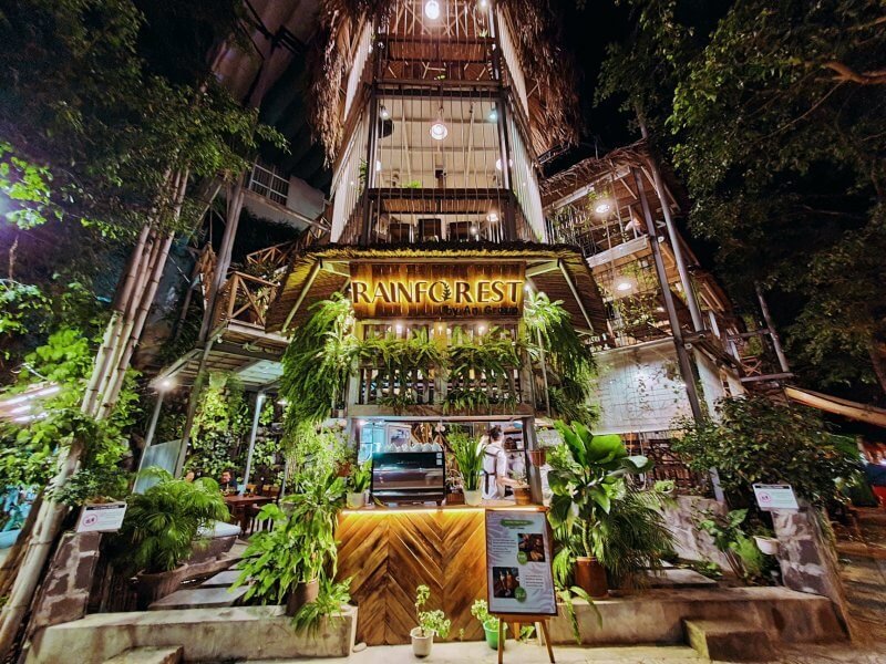 Photo: Rainforest exterior
