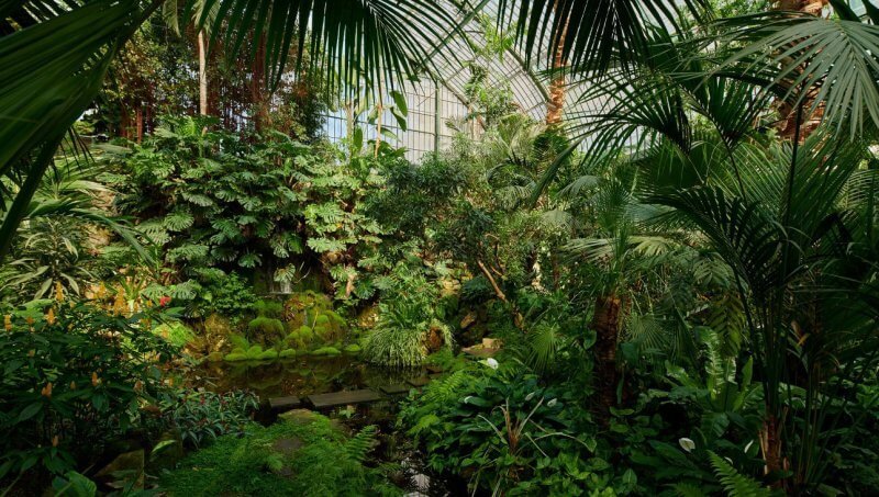 Palm Garden in Frankfurt am Main