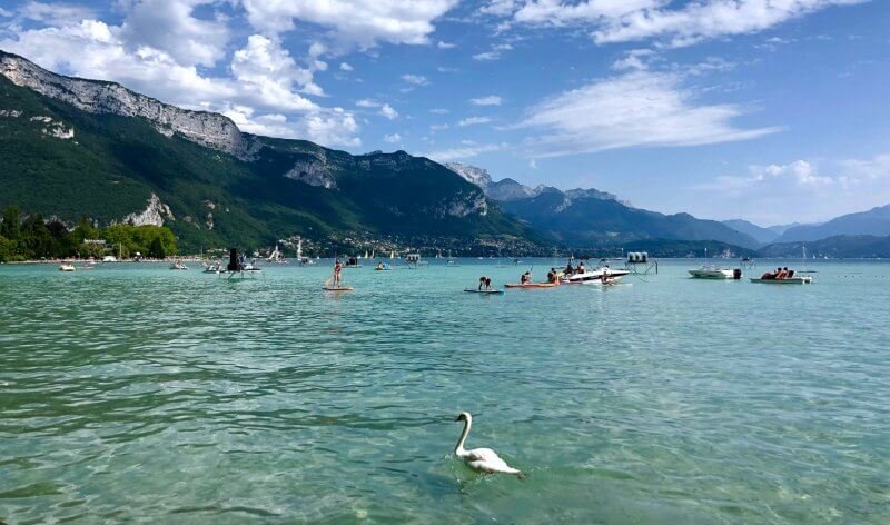 White swans and kayaks on Lake Annecy Boats and swans on Lake Annecy in France