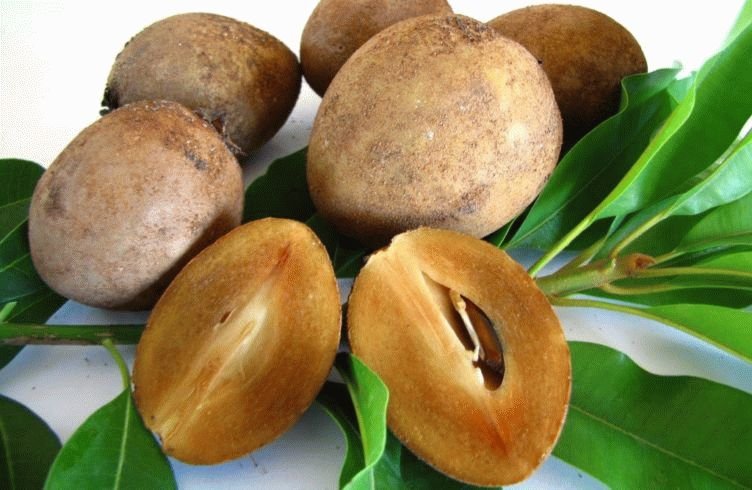 Whole and halved sapodrilla fruit Ripe sapodrilla fruit