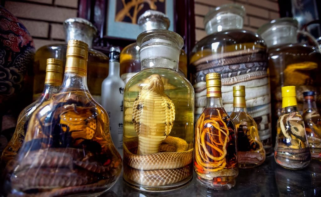 Vietnamese tinctures-souvenirs Snake tinctures