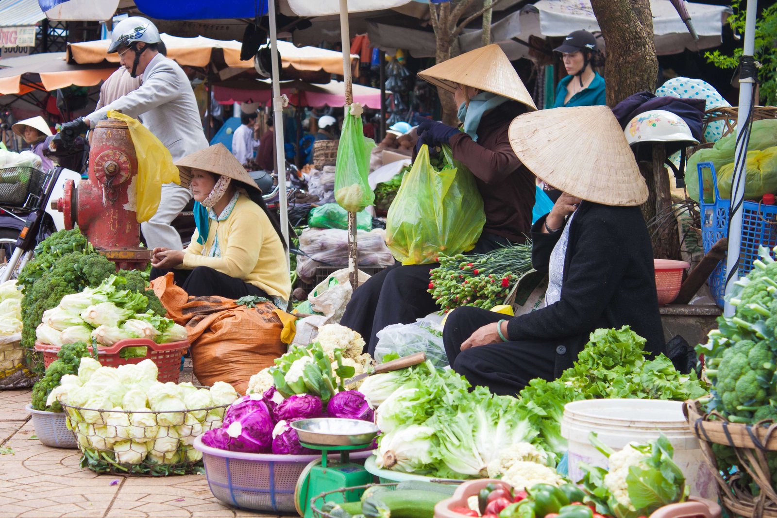 Vendors wearing cone hats in the central market of Dalat City Market