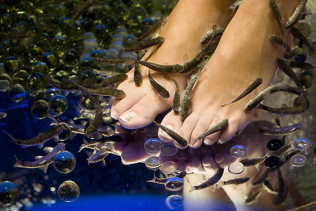 Fish peeling at Siam Ocean World Fish peeling procedure