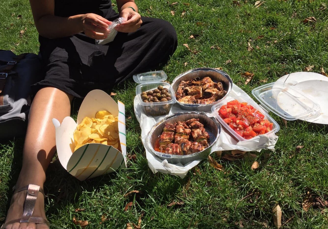 Not finding a bench, they had a picnic in the park Picnic in the park