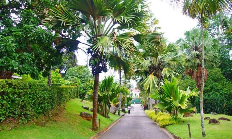 National Botanic Garden, Mahe Island, Seychelles National Botsad, Seychelles