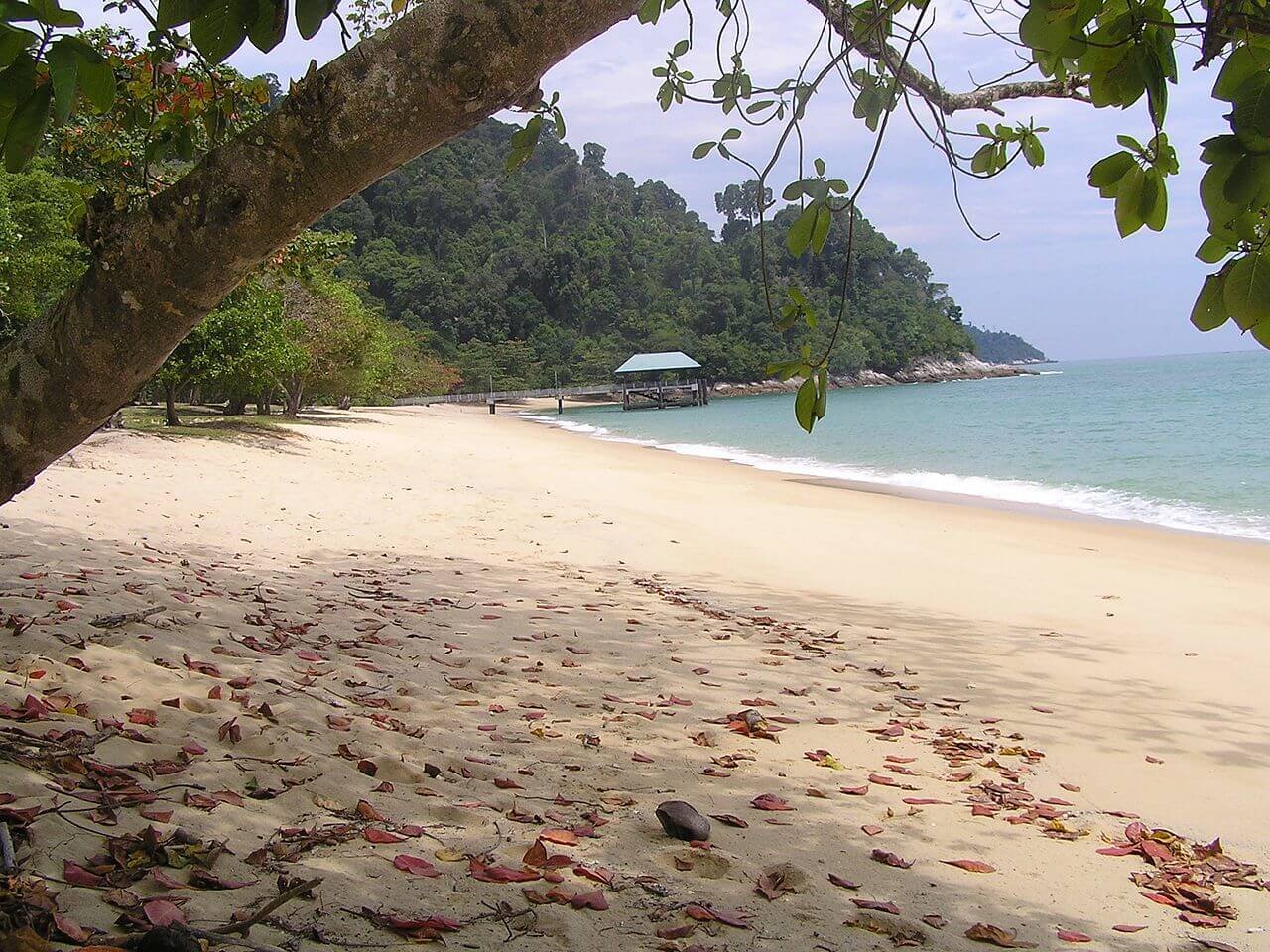 Photo of Teluk Ketapang Beach Teluk Ketapang Beach