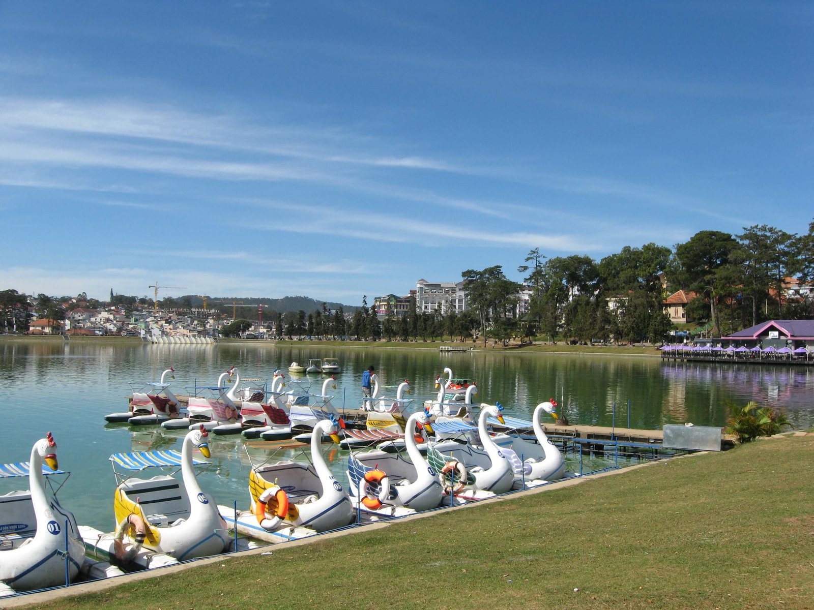 Xuan Huong Lake Swan Catamarans Photo: Xuan Huong Lake