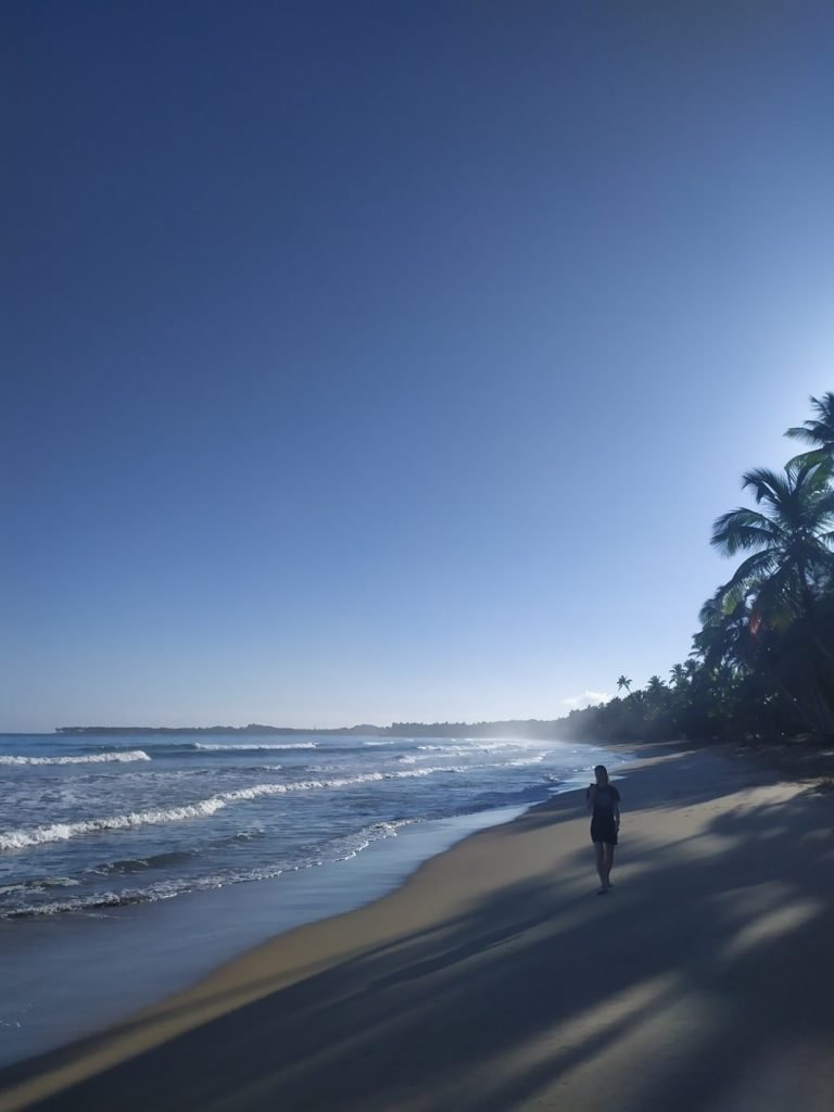 when to fly to the dominican republic