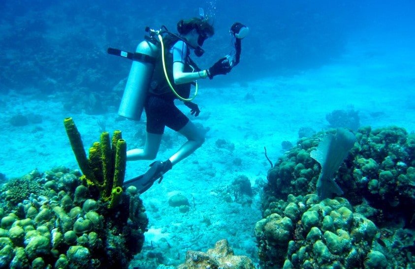 all about diving in the dominican republic