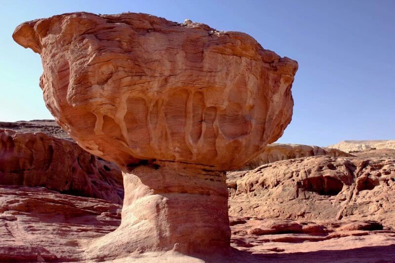 Mushroom in Timna National Park, Eilat Mushroom in Timna National Park