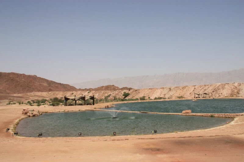Timna Lake in Eilat National Park Timna Lake in the National Park