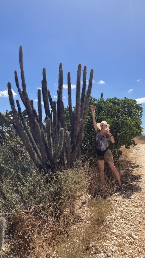 Cacti in Jaragua National Park