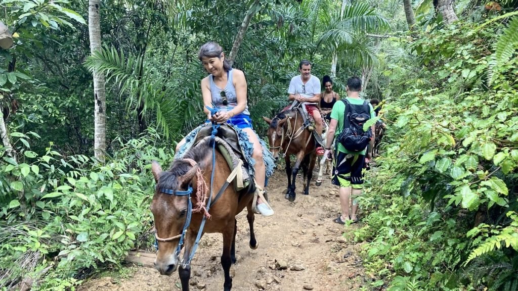 horseback riding to lemon waterfall