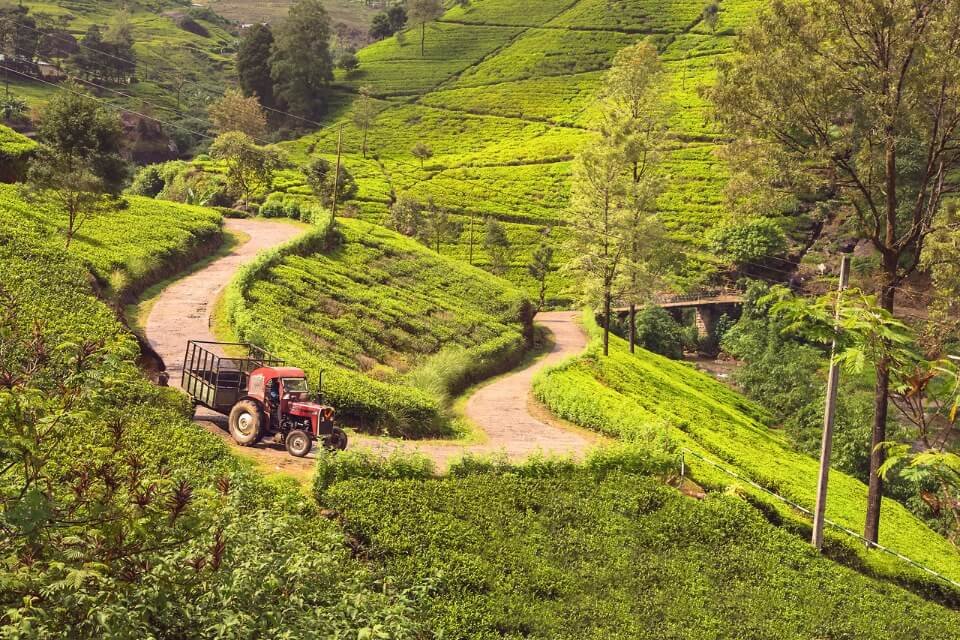 Photos of tractors that pass on the road Sri Lanka's narrow roads