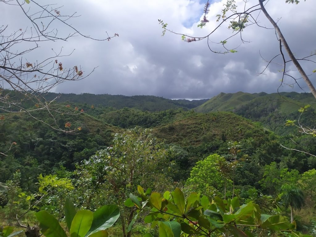views on the way to the waterfall
