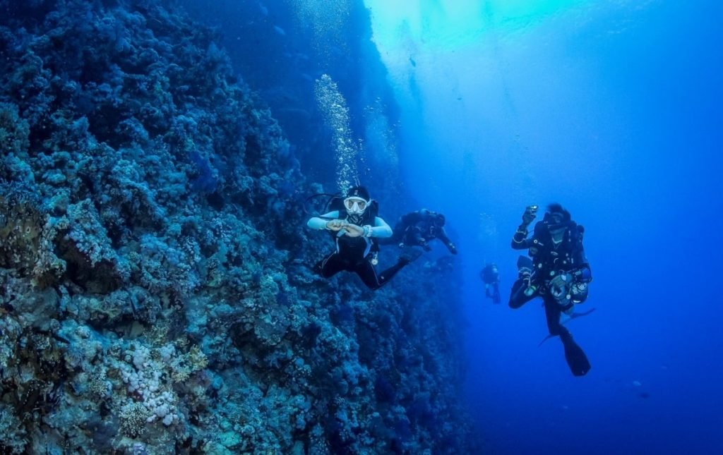 Diving in the Dominican Republic