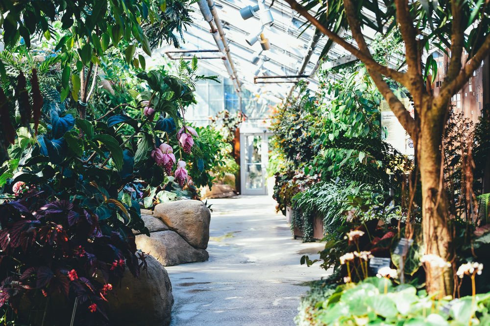 Photo: Montreal Botanic Garden