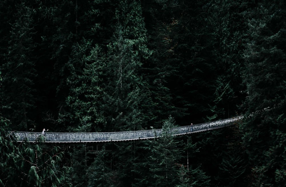 Photo: Capilano Bridge