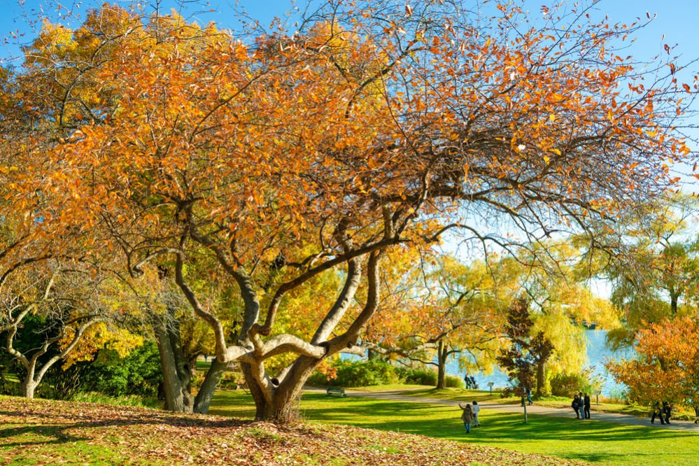 Photo: High Park