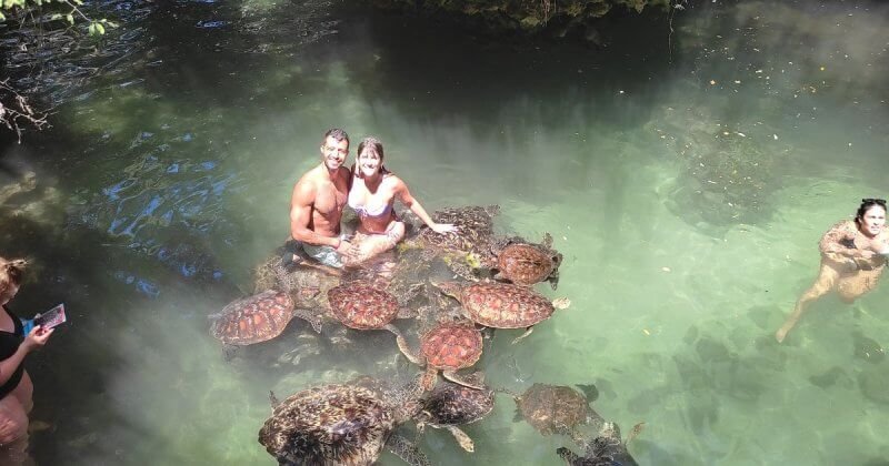 Mnarani Marine Turtles-Turtle Sanctuary