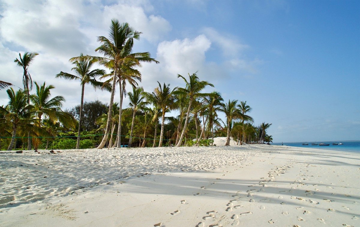 Photos of palm trees on Kendwa beach The sand of Kendwa beach is always clean