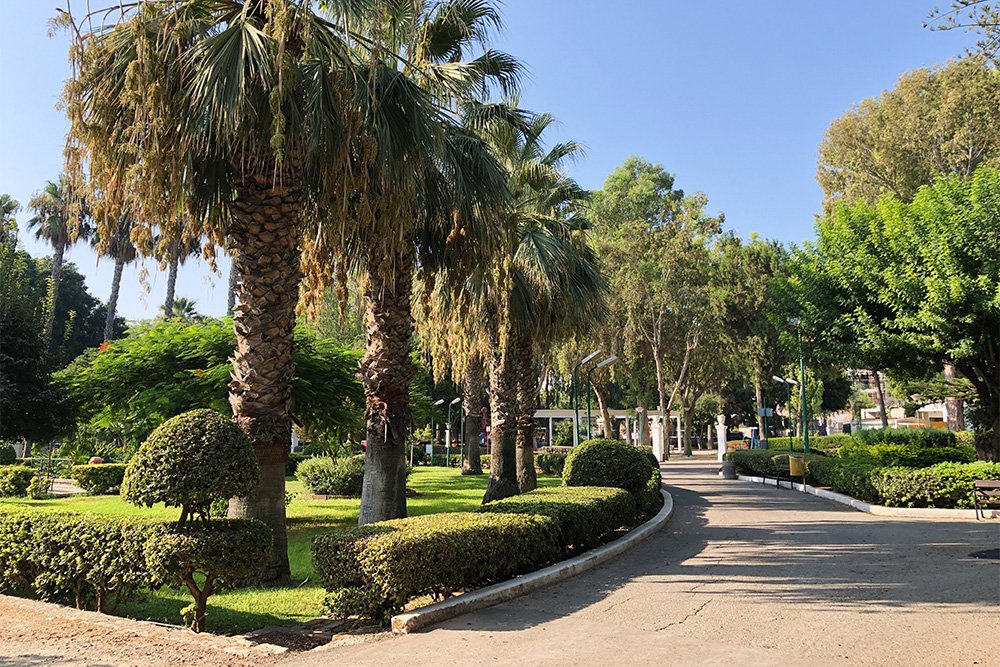 It is pleasant to walk in the garden among well-groomed trees and bushes.