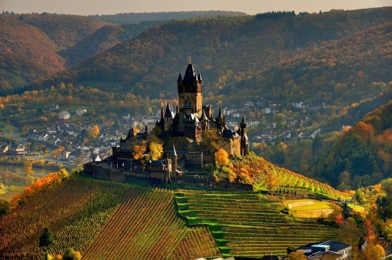The vineyards of the Reichsburg Castle in Cochem Vineyards of Reichsburg Castle