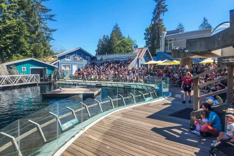 The Seal Show at the Vancouver Aquarium Photo: Seal Show at the Vancouver Aquarium