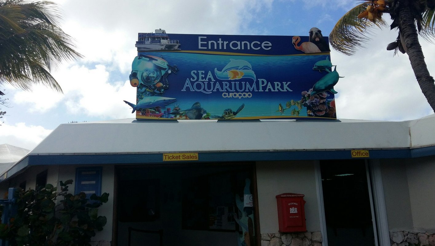 Photo of the entrance to the Dolphin Academy Dolphinarium on the island of Curaçao Dolphinarium Dolphin Academy