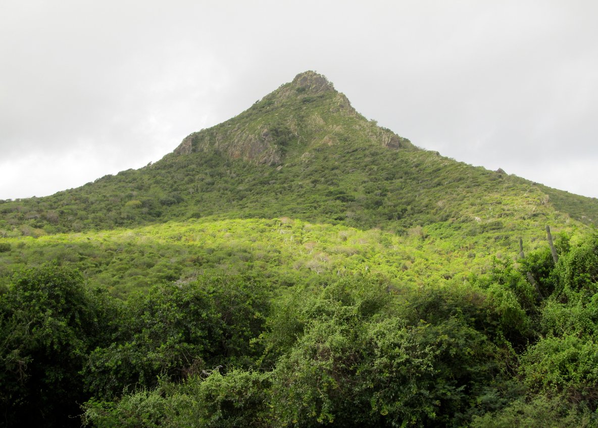 Photo of Mount Christopher Mount Christopher