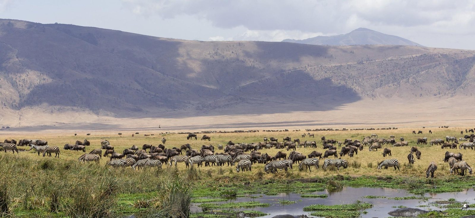 Ngorongoro Conservation Area in Tanzania Ngorongoro Nature Reserve