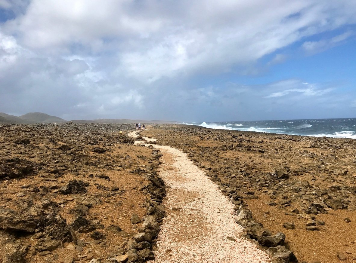 Photo of a path on the rocky beach of the National Park Walking path in the park