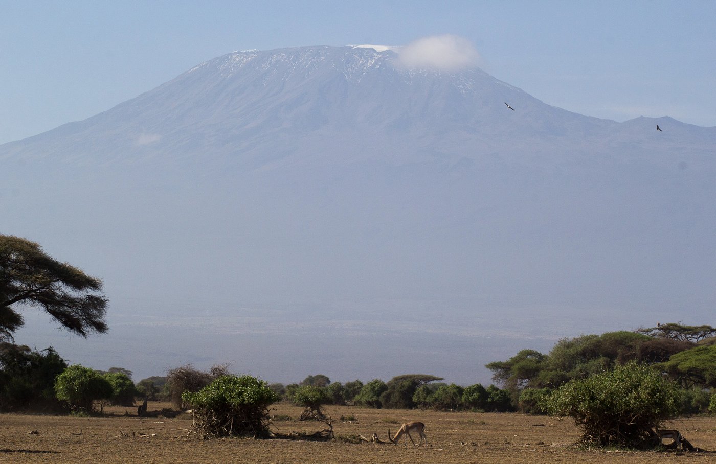 Remnants of snow cover on Mount Kilimanjaro Rapid melting of the snow cap