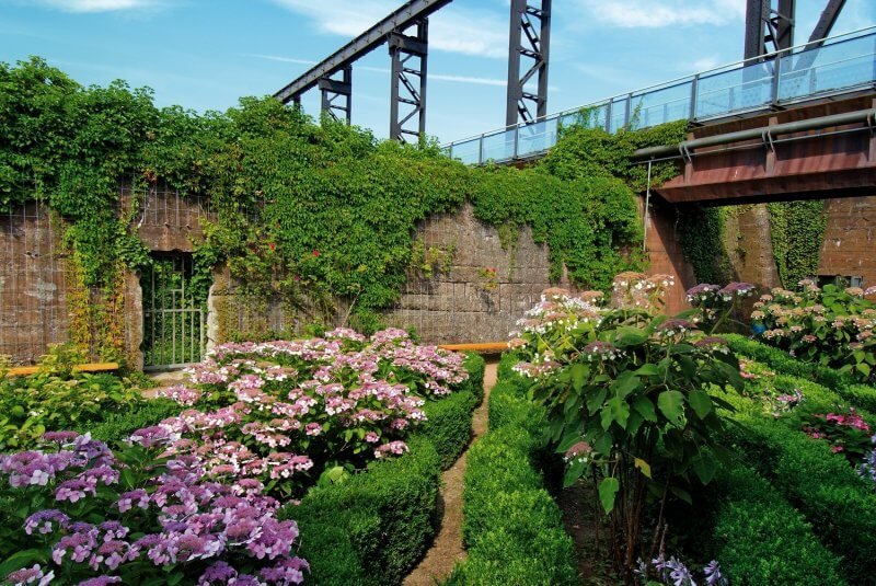 Flowerbed in the Landschaftspark
