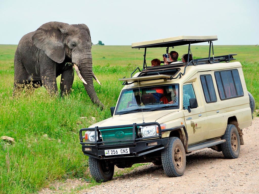 Guided Car Safari in Tanzania Guided and car-based safari