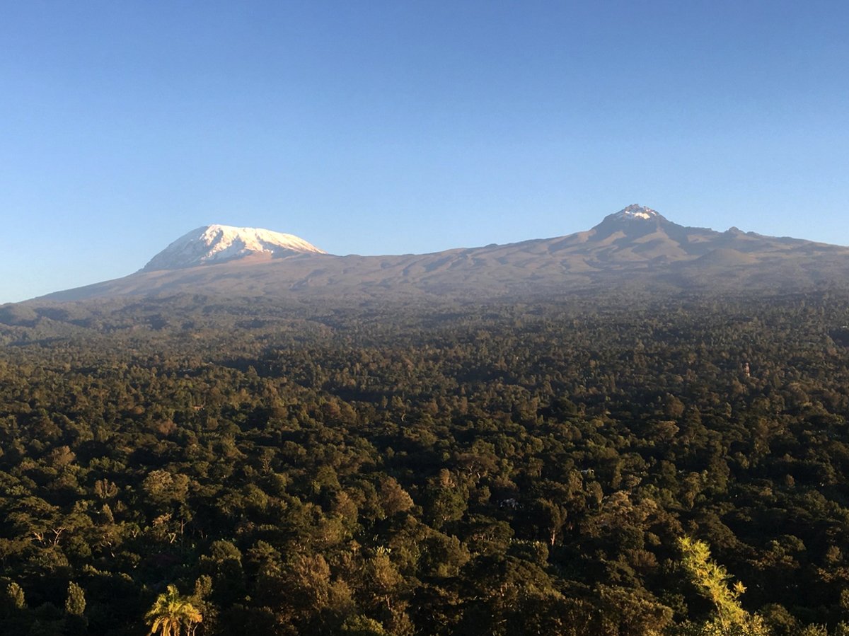 Photos of Tanzania's mountain forests Mountain forests