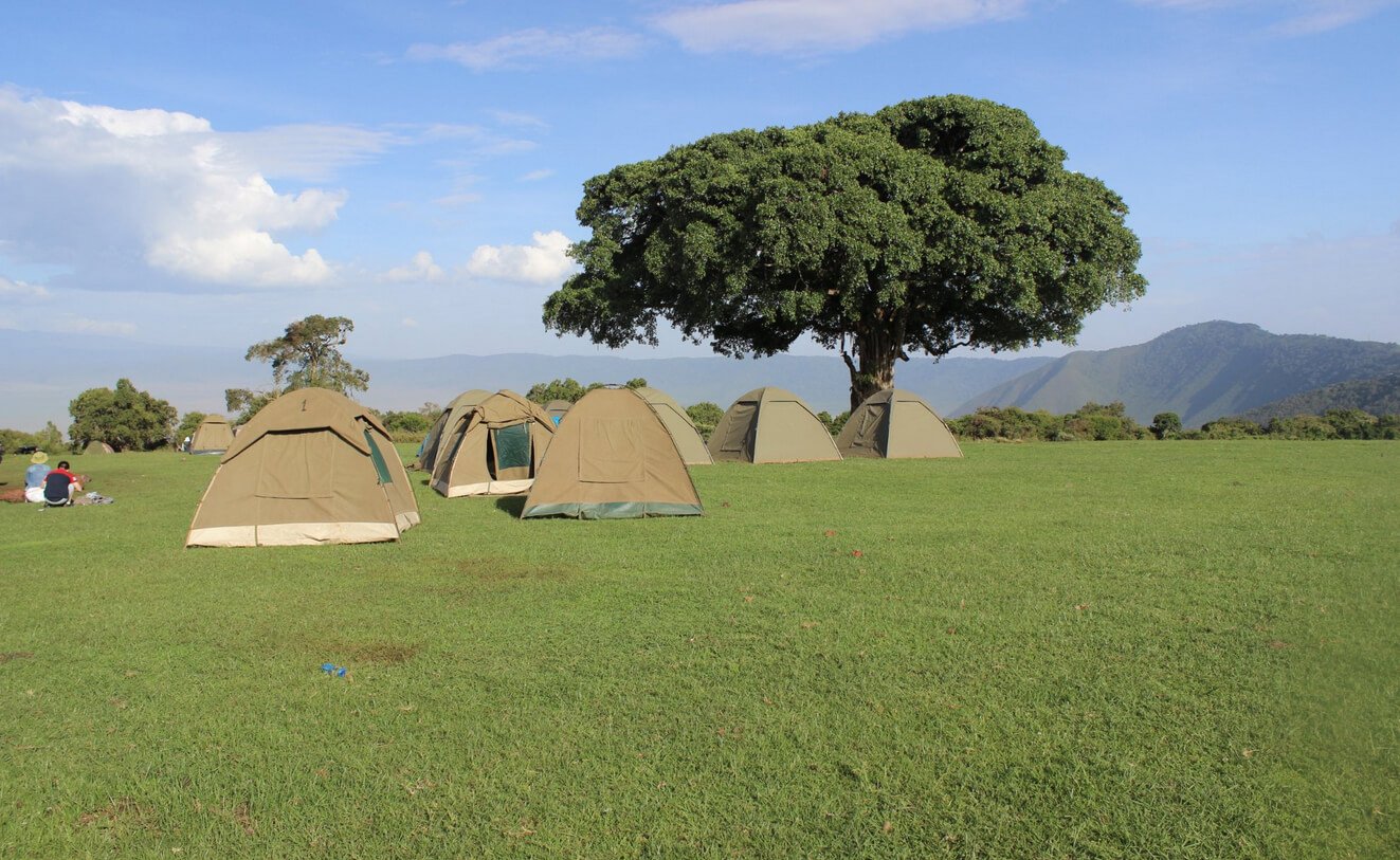 Photos of tents at Simba Campsite Simba Campsite