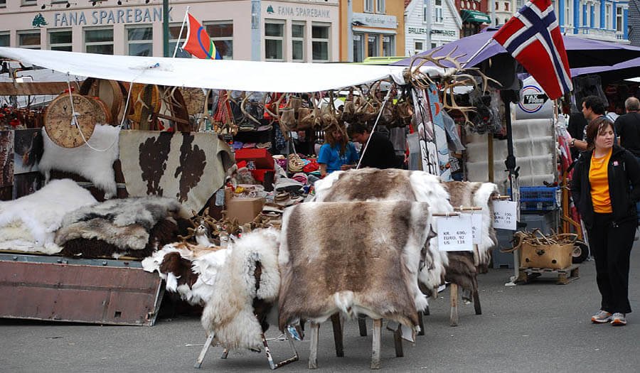 Sale of deer skins and antlers Deer skins and antlers