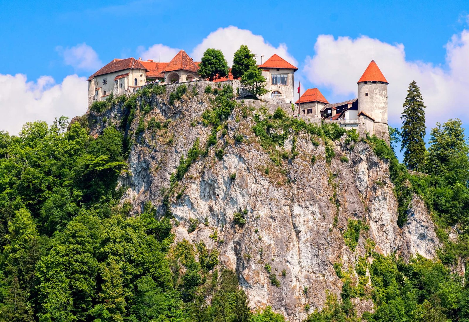 Bled Castle on the mountain Bled Castle