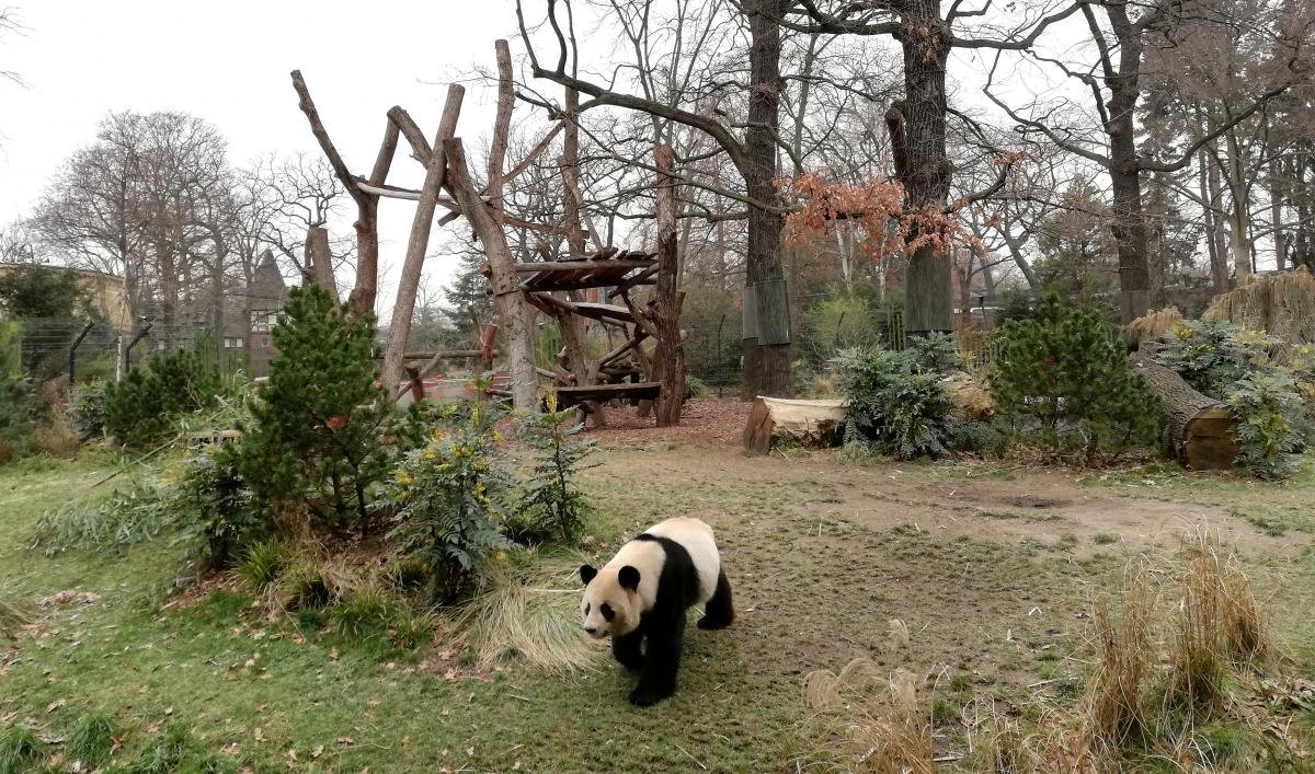 Berlin Zoo / photo by Marina Grigorenko