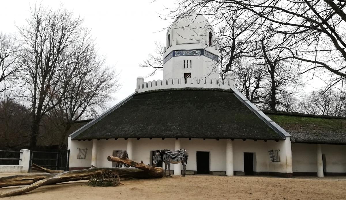 Berlin Zoo / photo by Marina Grigorenko