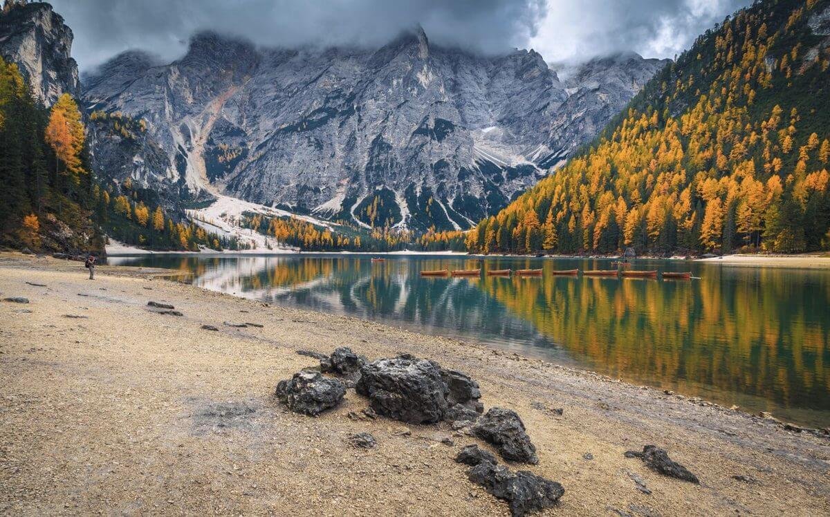 Lake Lago di Braies in autumn is the best time for photos. Lago di Braies in autumn with golden trees.
