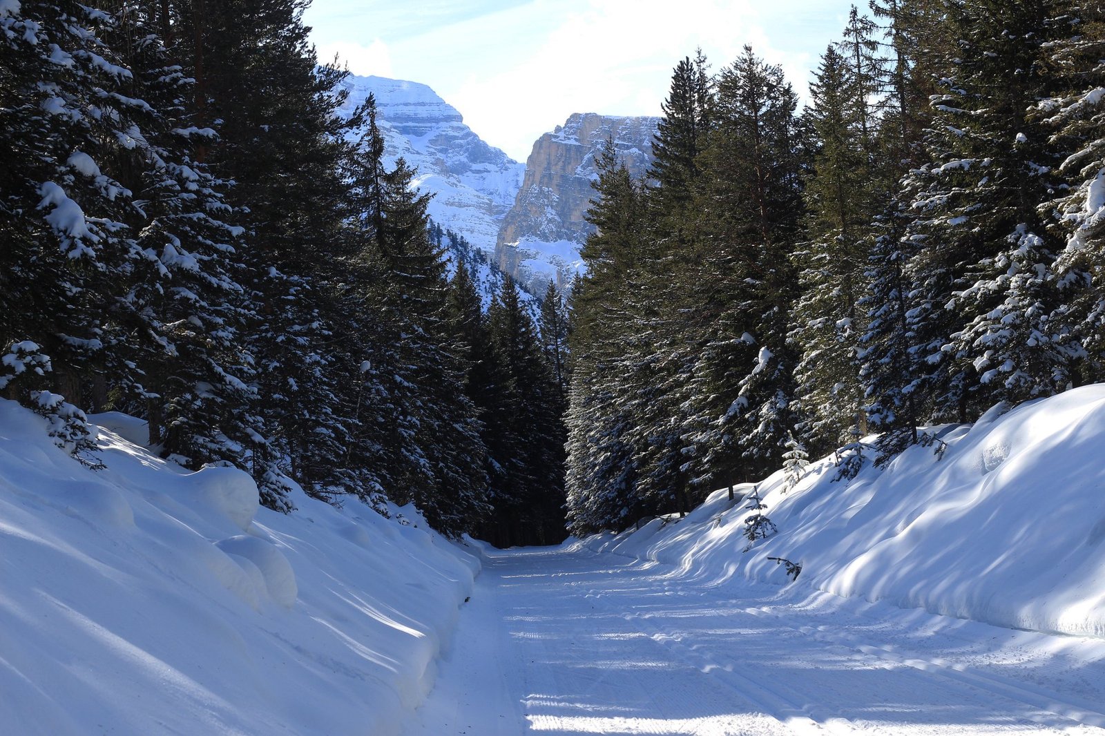 Groomed cross-country ski trail through snowy forest near Passo Cimabanche, north of Cortina d'Ampezzo
