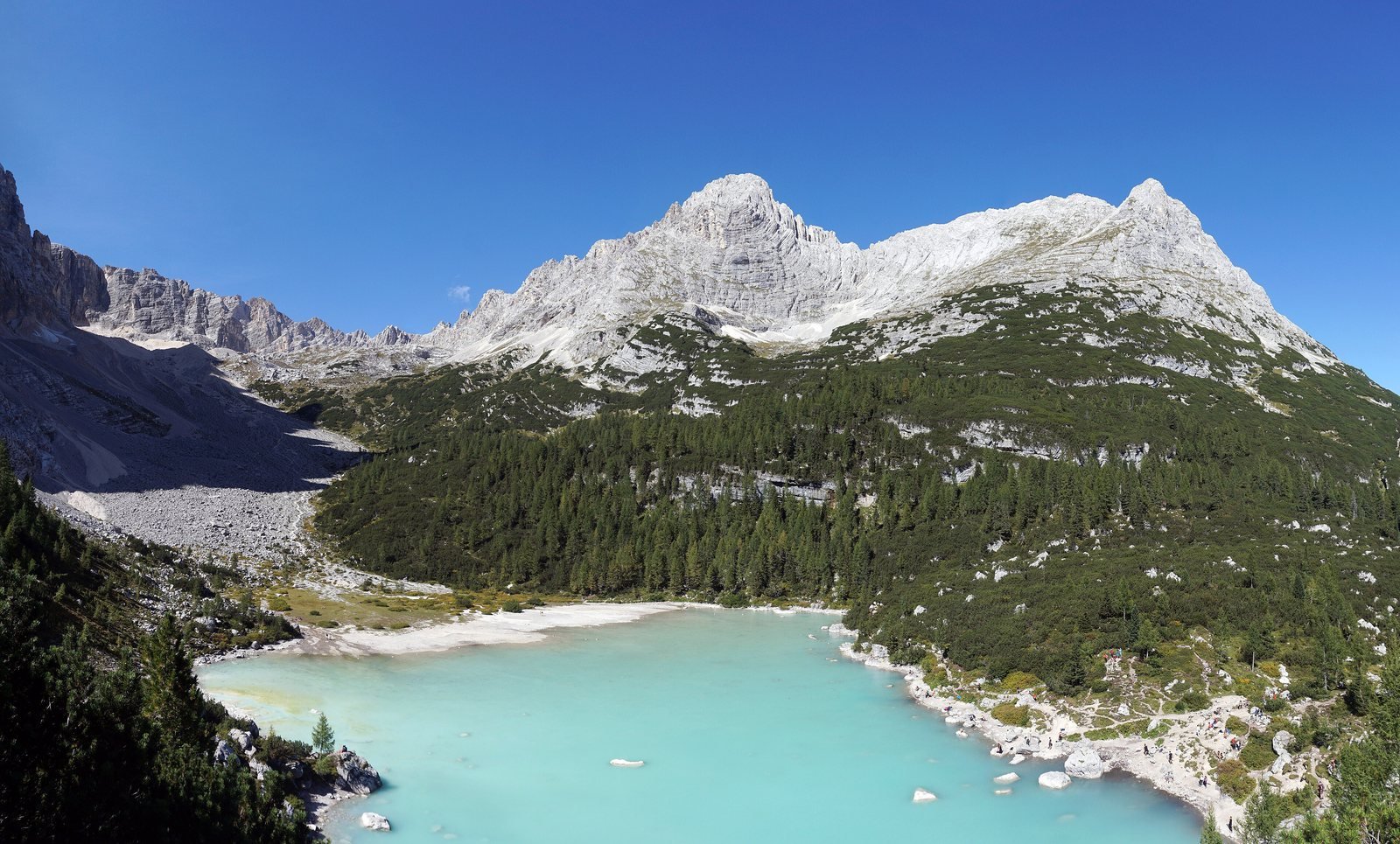 Turquoise Lago di Sorapis surrounded by forest below pale Dolomite peaks