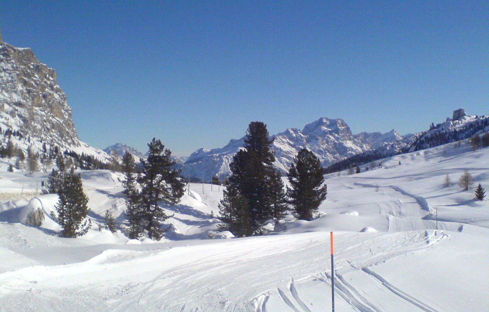 Groomed ski slope near Passo Falzarego with pine trees and snowy Dolomite peaks