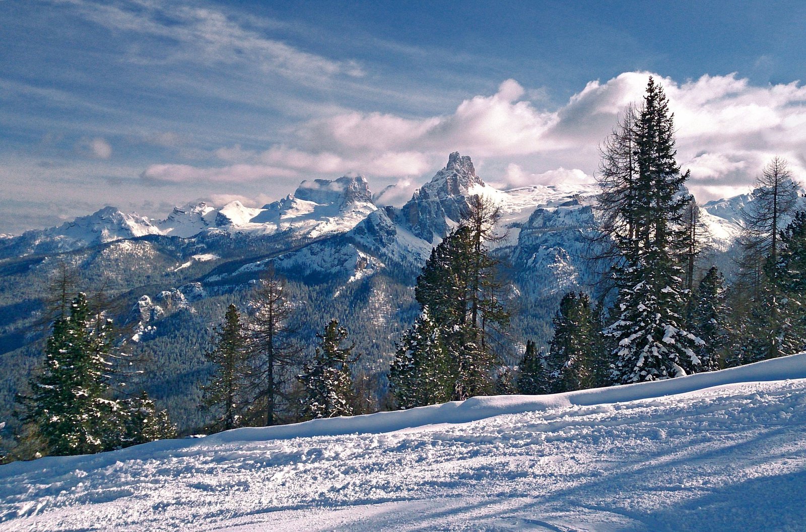 Snowy piste and fir trees with the Croda da Lago peaks across the valley from Cortina d'Ampezzo