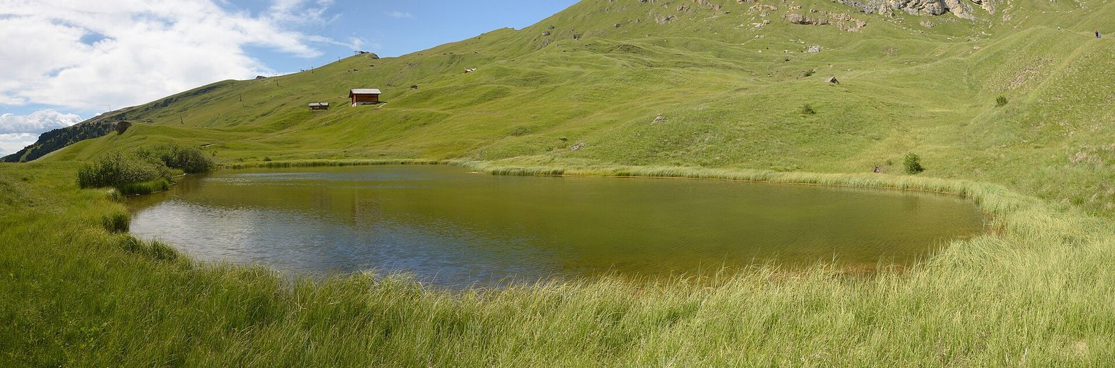 Small Lake Iman (Lech da Iman) in the grassy Mastlé meadows on the way to Seceda