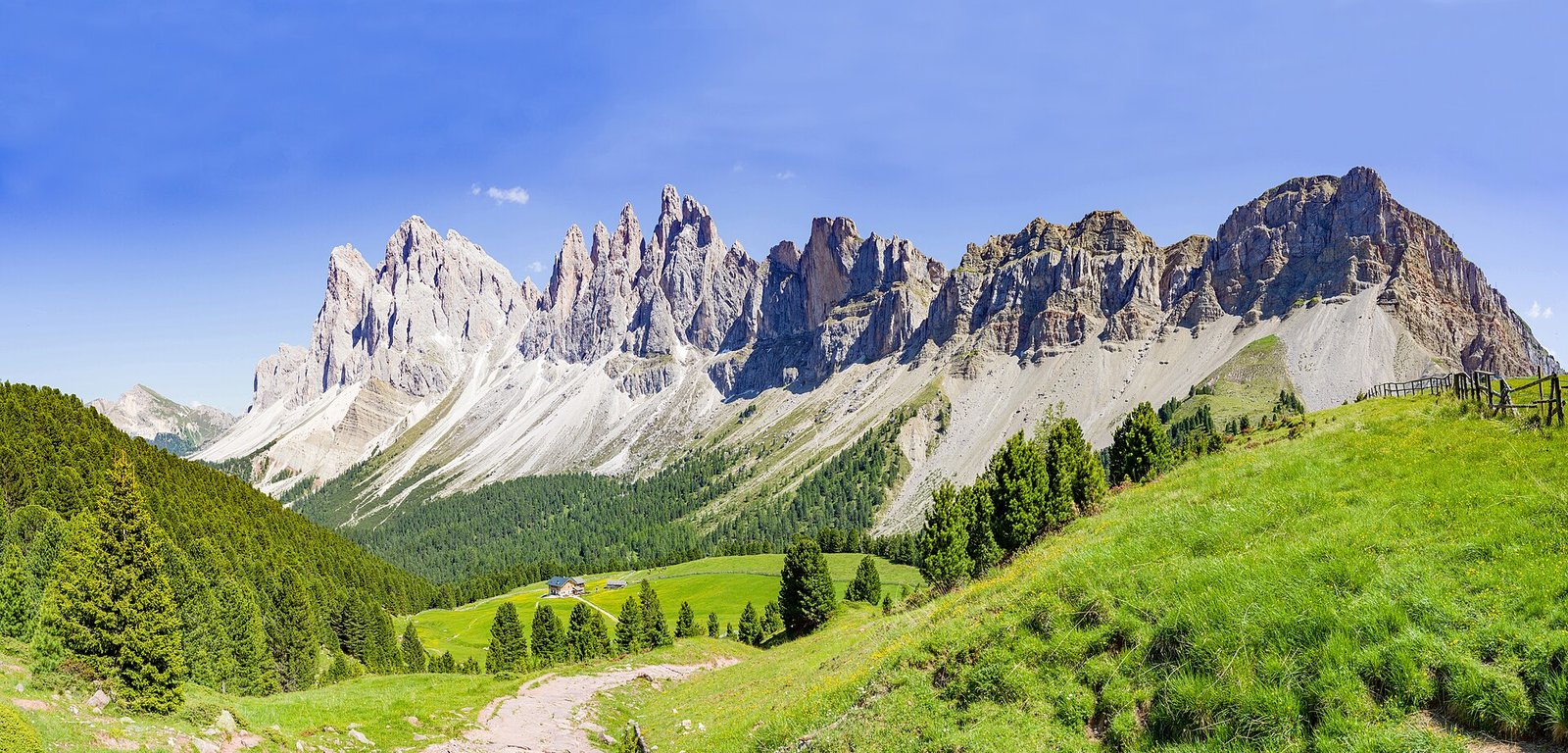Green summer meadows and a path leading towards the Seceda and Odle peaks in Val Gardena